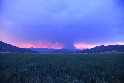 DSC_1851 (Large).JPG